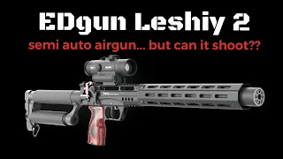 EDgun Leshiy 2 - Long Range Accuracy (can it shoot??)