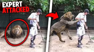 These 3 Animal Experts Were Fatally Mauled By The Animals They Love!