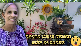 😱NO tienes muchas PLANTAS? Entonces HAZ esto!😍🪴