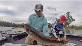 Father and Son catch a GIANT Musky