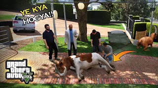 WHAT HAPPEN WITH JIMMY'S DHANNO 😂 | GTA 5 Real Life Stories #79 | BAKRA EID SERIES | EP#8