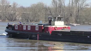 LABE 13     März 2020  Elbe Magdeburg / Herenkrugbrücke