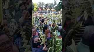 "Palm Sunday Mass Crowd" Palo Cathedral #holyweek #lentsesson