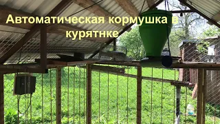 Шнековая автоматическая кормушка в курятнике