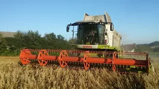 Žně 2017 - oves - 2x Claas Lexion, Zetor 11441, Zetor 10111