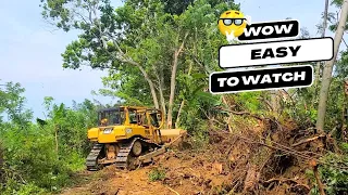 The Easiest Heavy Equipment Caterpillar D6R XL Bulldozer Operator Constructing Plantation Road