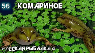 Русская рыбалка 4 - Комариное. Где ловить лягушку в Декабре ! [#56]