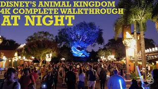 Disney's Animal Kingdom Complete Walkthrough 2019 NIGHT Tour Walt Disney World Orlando Florida