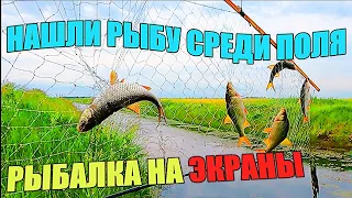 РЫБАЛКА НА ЭКРАНЫ. Ищем рыбу в чистом поле.