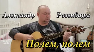 Александр Розенбаум - Полем полем (кавер от Андрея Попова)