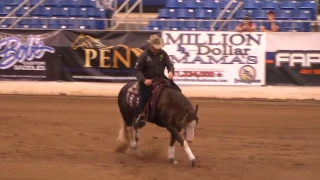 2017 Lucas Oil Level 4 Open DErby Champion