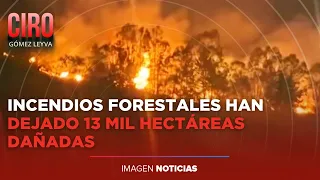 Incendios forestales cesan de a poco en el país; hay 13 mil hectáreas dañadas | Ciro