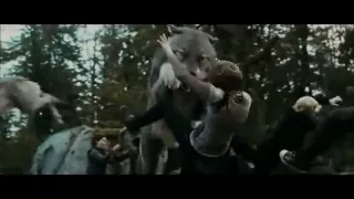 twilight eclipse fight scene "cullens & wearwolves vs newborns"