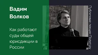 Вадим Волков. Как работают суды общей юрисдикции в России: результаты эмпирических исследований