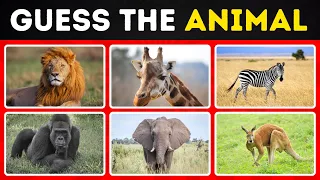 Guess the Animals Challenge | Can You Name These 50 Creatures in 3 Seconds? @braincube1