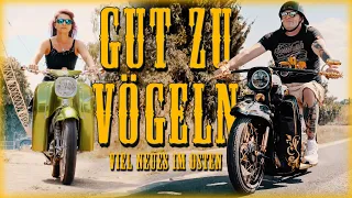 29/23 Sourkrauts | Gut zu Vögeln  | SIMSON SCHWALBE & STAR