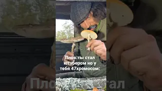 Камрад мочит. хахахах