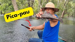 Pescando Bodó no Igapó com Malhadeira no AMAZONAS