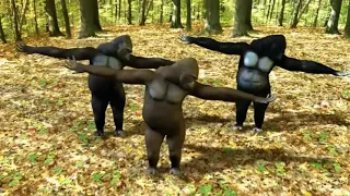 Dancing gorillas