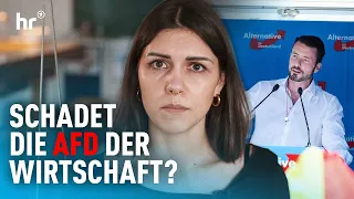 EU, Fachkräftemangel, Migration - die hessische AfD und die Wirtschaft | Politik