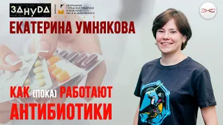 Как (пока) работают антибиотики. Екатерина Умнякова