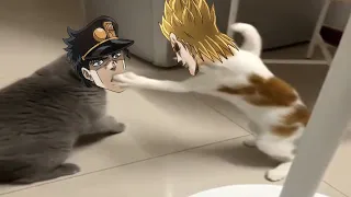 Cat's Bizarre Adventure | Part 2