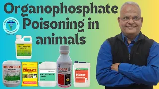 Understanding Organophosphate (Malathion, Rogar, Monocrotophos) Poisoning In Animals with GNP Sir