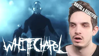 Metal Musician Reacts to Whitechapel | Lost Boy |