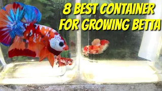 8 BEST CONTAINER OR TANK FOR BETTA FISH 💡🎯