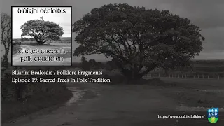 Folklore Fragments Podcast - Episode 19: Sacred Trees in Folk Tradition