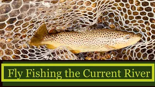 Summer Fly Fishing the Current River in Missouri