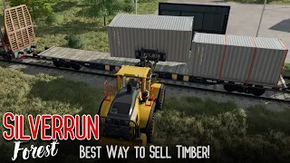 Best Way to Sell Timber! | Silverrun Forest | Farming Simulator 22 Platinum Expansion | Episode 4