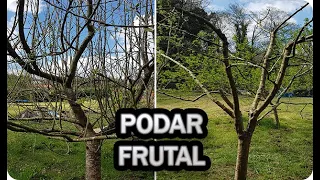 La Mejor Forma De Podar Un Frutal En Invierno Para Aumentar La Cosecha || La Huertina De Toni