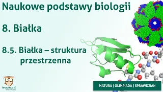 Naukowe podstawy biologii | 8.5. Białka - struktura przestrzenna