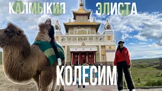 КОЛЕСИМ. Республика Калмыкия, Элиста.