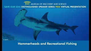 Save Our Seas Distinguished Speaker Series: Hammerheads and Recreational Fishing