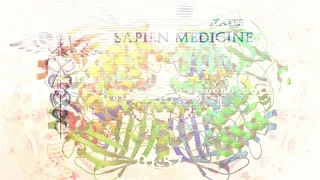 Mitochondrial‐targeted catalase by Sapien Medicine (Longevity Series/Energetically Programmed Audio)