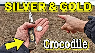 SILVER & GOLD Crocodile! I found all this with a metal detector in an old field! Metal Detecting.