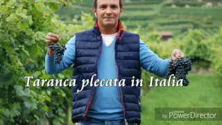 Daniel Buzdugan - Farsă - Țărancă plecată în Italia