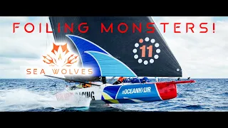 Sea Wolves - FOILING monsters! Understanding foils and the future of IMOCA foiling - SH VR - Coffee!