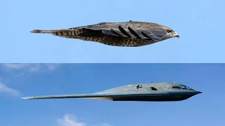 Nothing Can Penetrate Hostile Air Space Like a B-2 Bomber