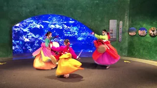 Aquarium of the pacific- international children's festival. Korean drum dance mar2021