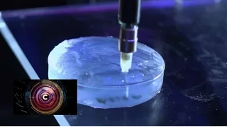 Could we see 3D printed human organs? BBC Click