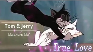 Tom & Jerry ~ Casanova Cat ~ True Blue #tomandjerry #madonna