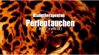 Klangtherapeuten - Perlentauchen (PVV remix)