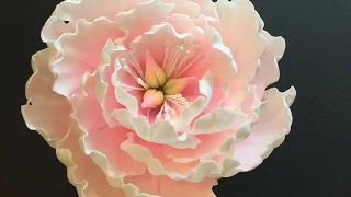 Gumpaste Peony tutorial