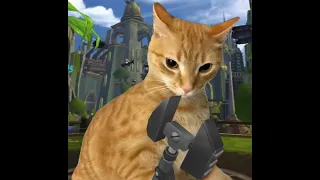 ratchet (and clank) cat