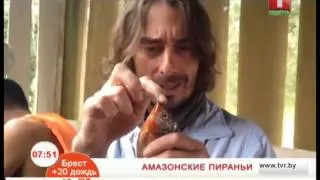 Полезная еда по-перуански - амазонские пираньи от Дудинского