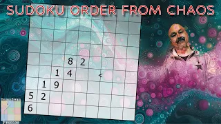 Not Your Regular Irregular Sudoku !