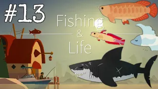 Catching The Megalodon And The Hopeful Arowana! | Fishing And Life #13